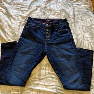 Fran Denim Iris Crop Dark Wash